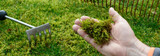 How to remove Moss from Patios & Lawns