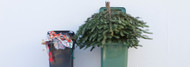 Christmas Tree Recycling