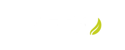 Zero