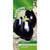 Suttons Aubergine Galine