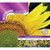 Suttons Sunflower* Collection