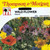 T&M Wild Flower Mixture