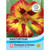 T&M Nasturtium Orchid Flame