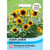 T&M Sunflower Solar Flash F1 Hybrid