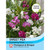 T&M Sweet Pea Everlasting Mixed (Lathyrus)