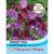 T&M Sweet Pea Purple Pimpernel