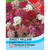T&M Sweet William Excelsior Mixed