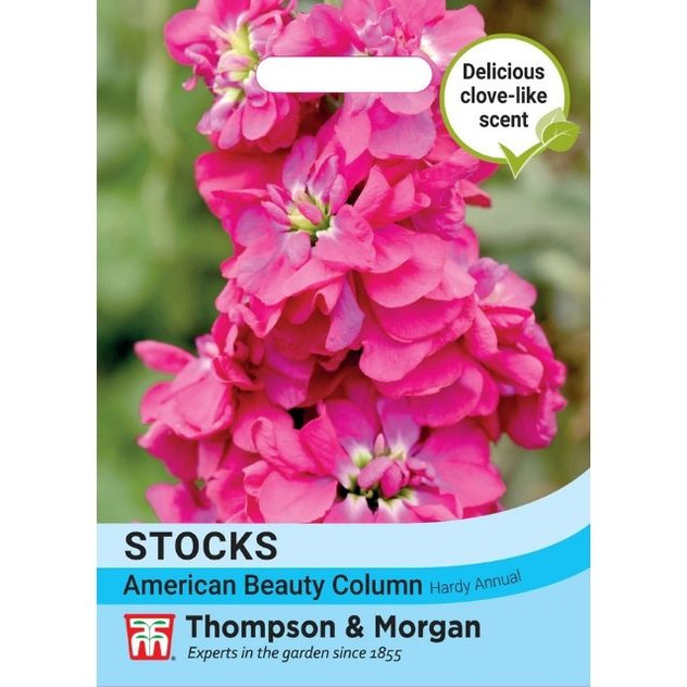 T&M Stock American Beauty Column