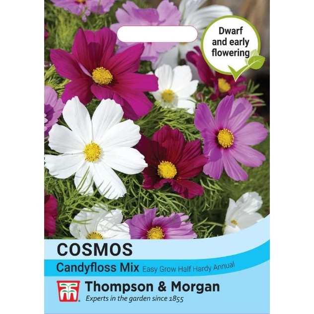 T&M Cosmos Bipinnatus Candyfloss Mix