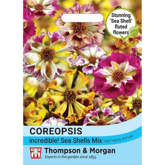 T&M Coreopsis Incredible Sea Shells Mix