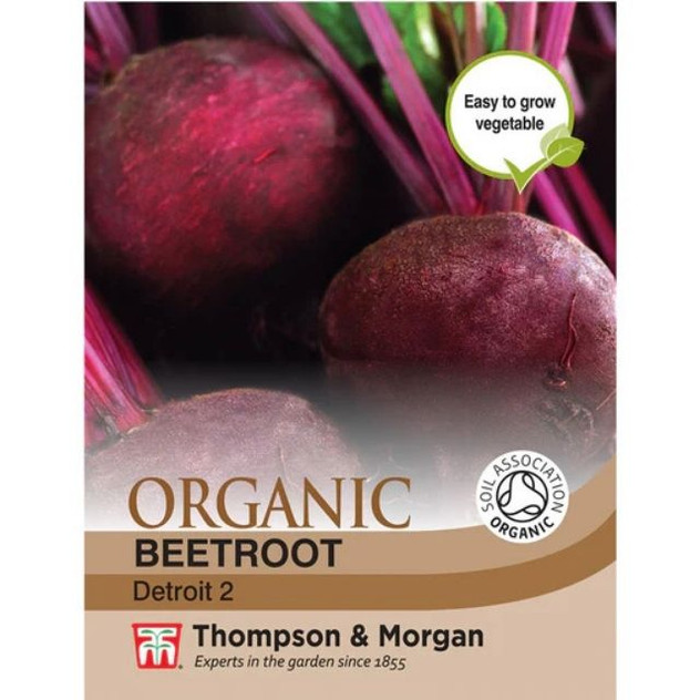 T&M Beetroot Detroit 2 (Organic)