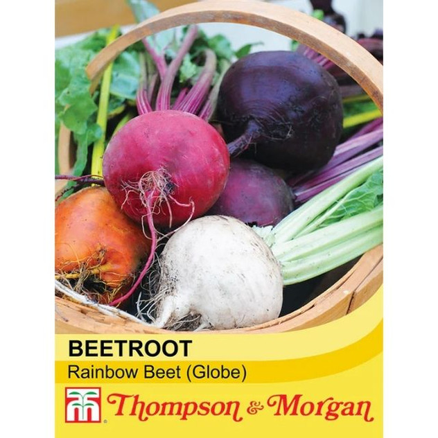 T&M Beetroot Rainbow Beet