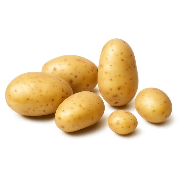 Homeguard 2kg Seed Potatoes