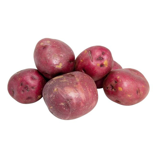 Rooster Seed Potatoes 5kg