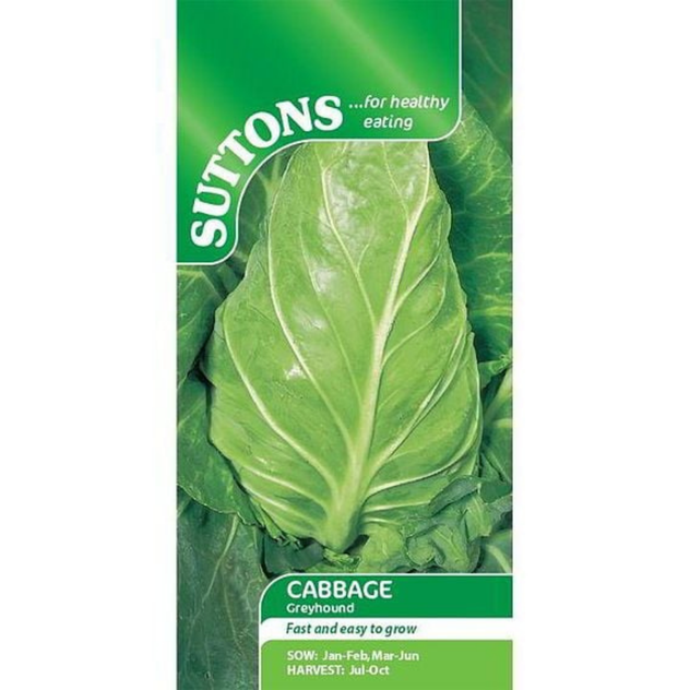 Suttons Cabbage Greyhound