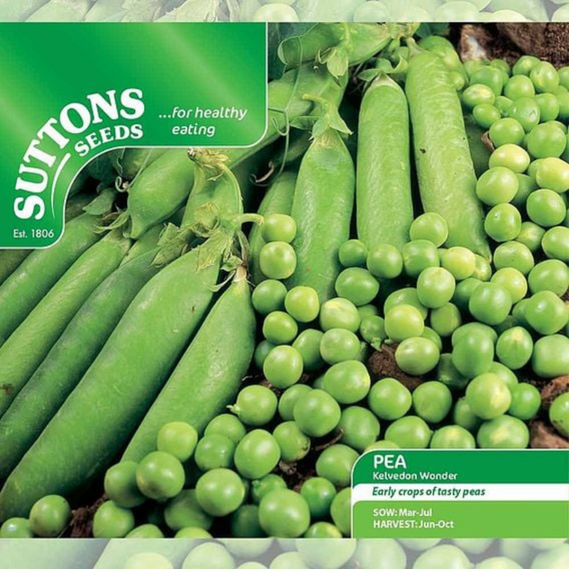 Suttons Pea Kelvedon Wonder