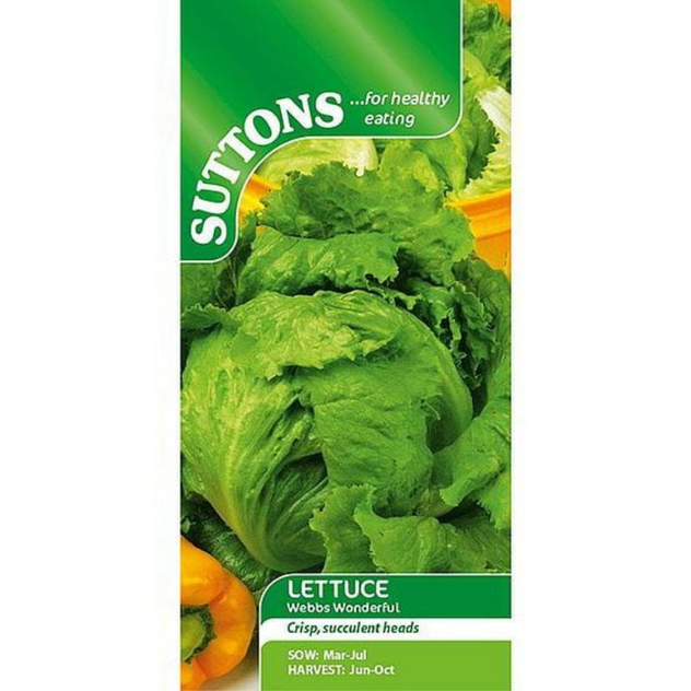 Suttons Lettuce Webbs Wonderful