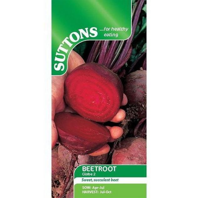Suttons Beetroot Globe 2
