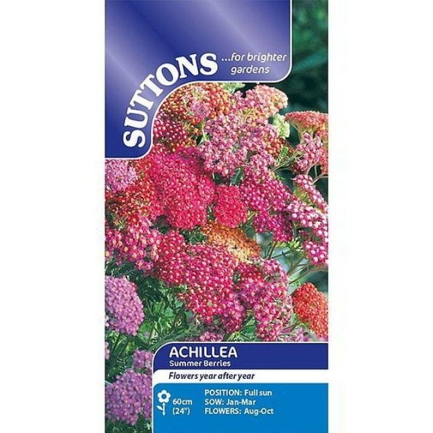 Suttons Achillea Summer Berries