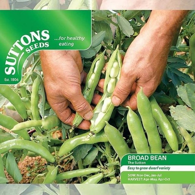 Suttons Broad Bean The Sutton
