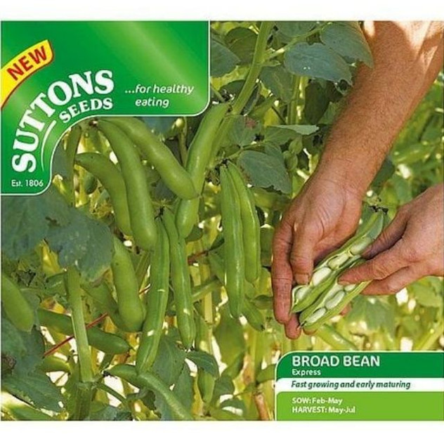 Suttons Bean Broad Express