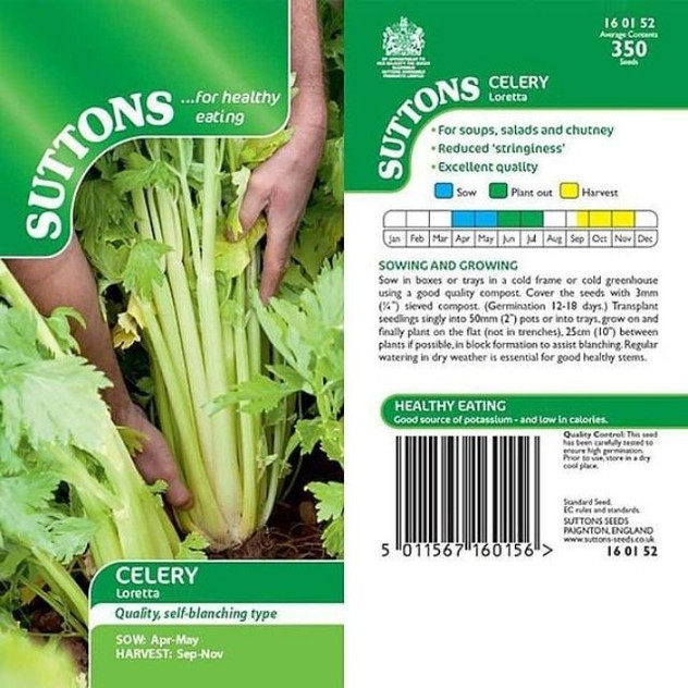Suttons Celery Loretta