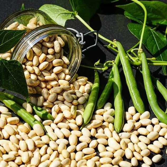 Suttons Climbing French Bean Blue Lake