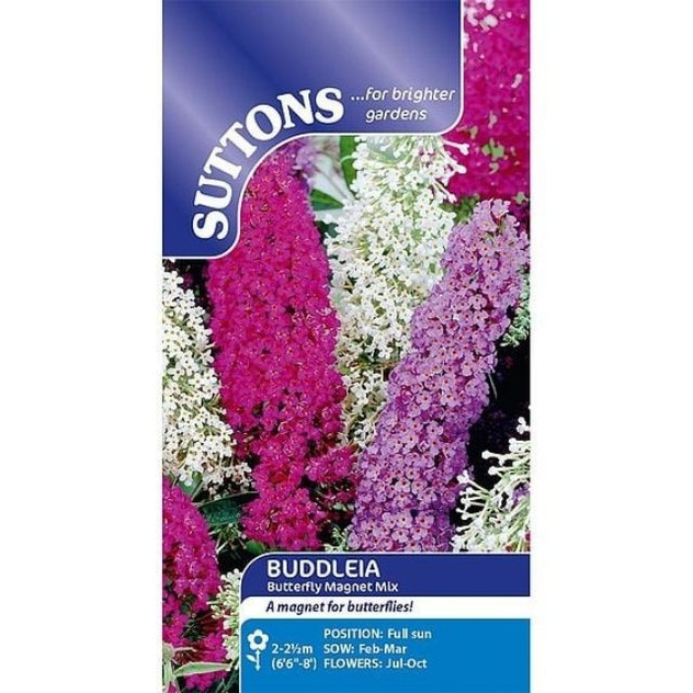 Suttons Buddleia Butterfly Magnet Mix
