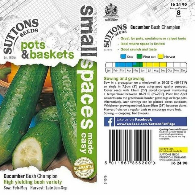 Suttons Cucumber Bush Champion
