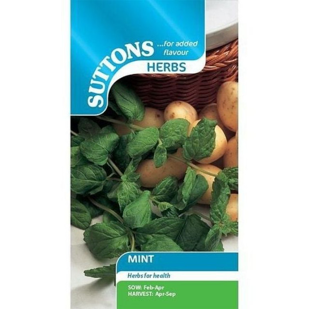 Suttons Herbs Mint