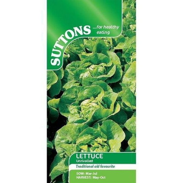 Suttons Lettuce Unrivalled