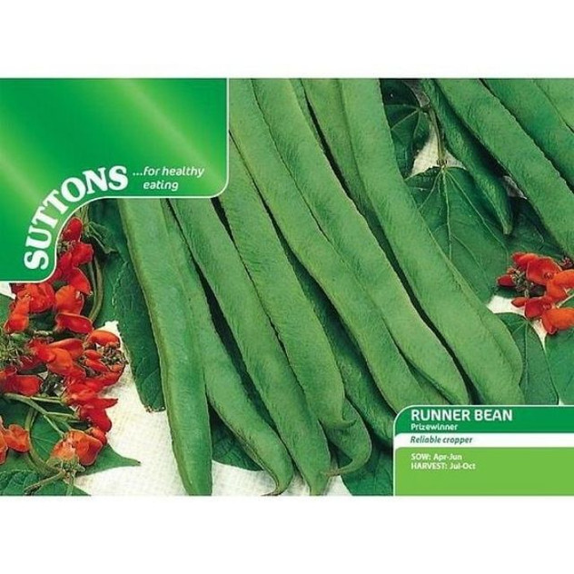 Suttons Runner Bean Prizewinner