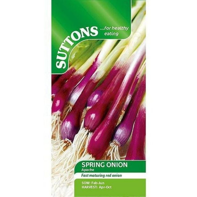 Suttons Spring Onion Apache