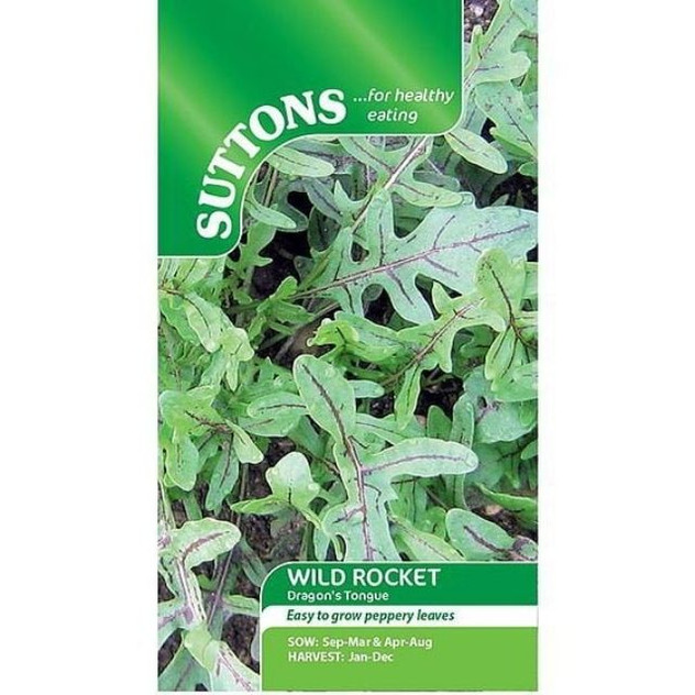 Suttons Rocket Wild Dragon's Tongue