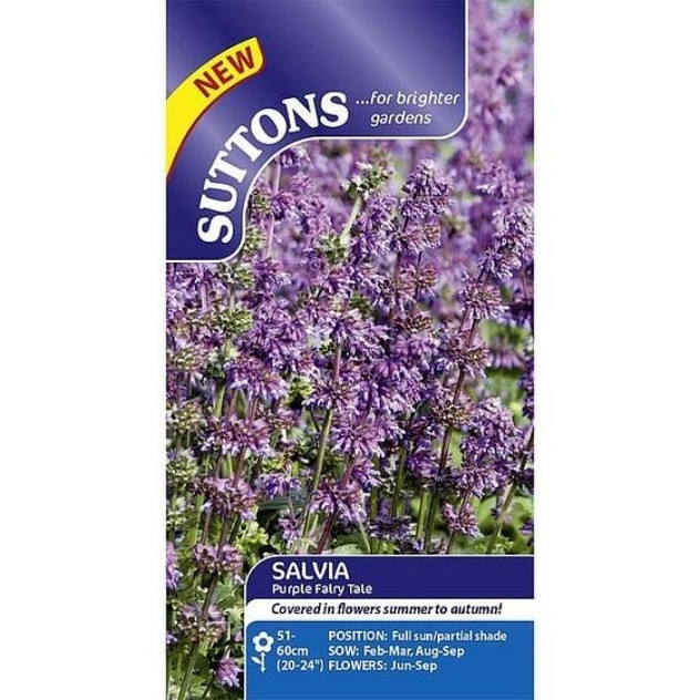 Suttons Salvia Purple Fairy Tale