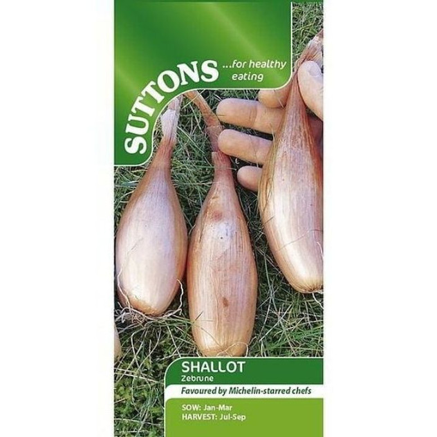 Suttons Shallot Zebrune