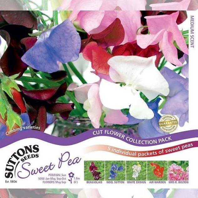 Suttons Sweet Pea High Scent