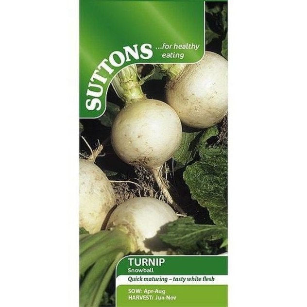 Suttons Turnip Snowball