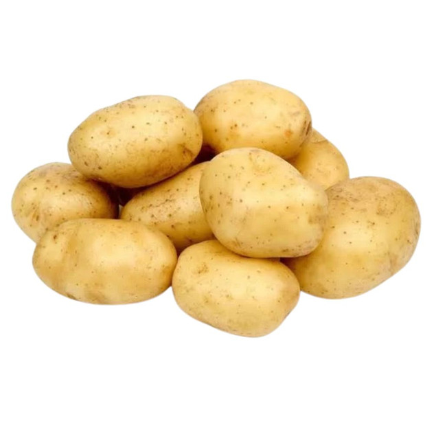 Maris Piper 2kg Seed Potatoes