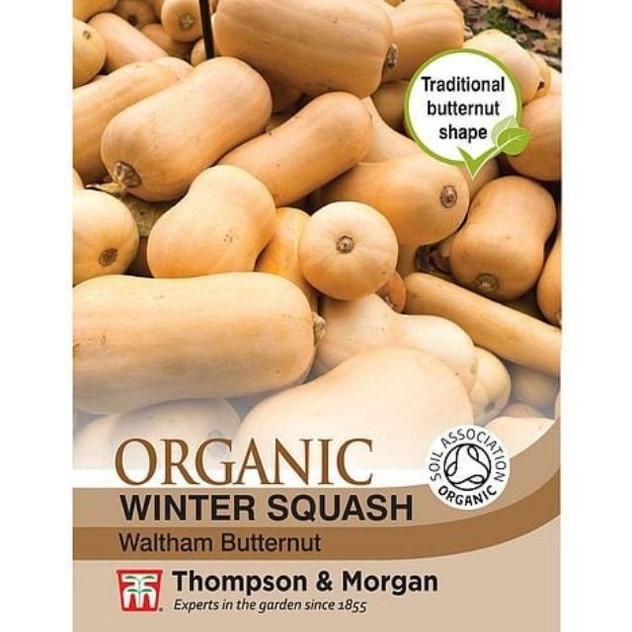 T&M Squash Waltham Butternut (winter) (Organic)