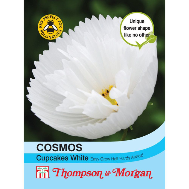 T&M Cosmos Cupcakes - White