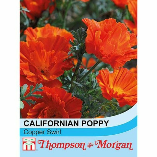 T&M Californian Poppy Copper Swirl