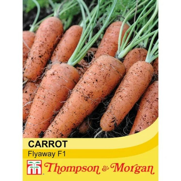 T&M Carrot Fly Away F1 Hybrid