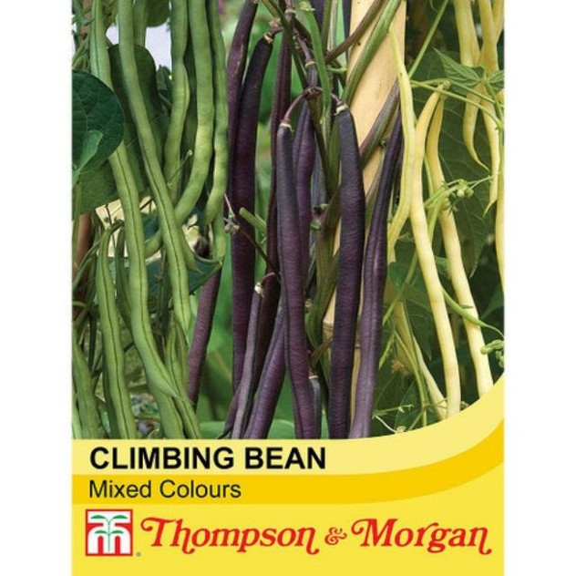 T&M Climbing Bean Mixed