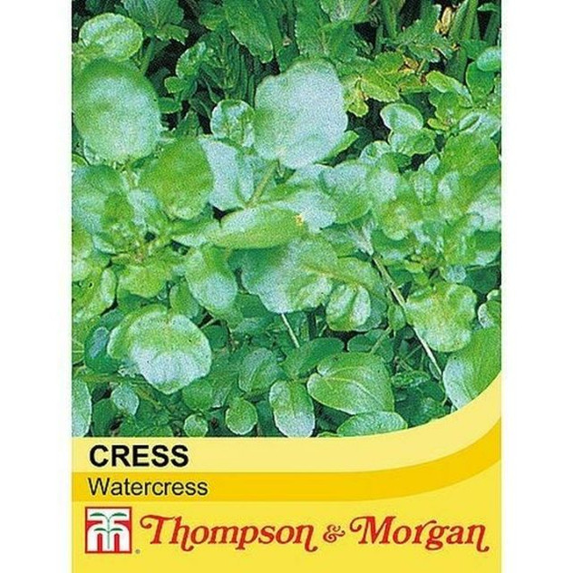 T&M Cress