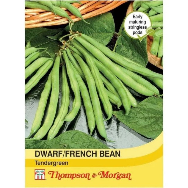 T&M Dwarf Bean Tendergreen