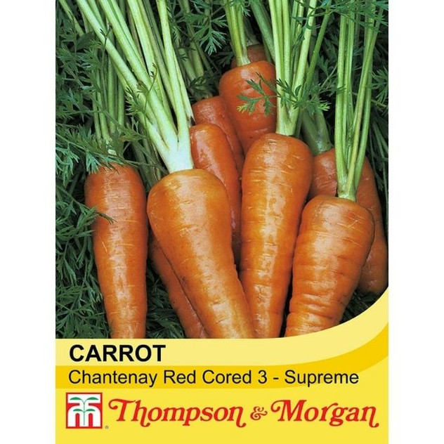 T&M Carrot Chantenay Red Cored 3 - Supreme