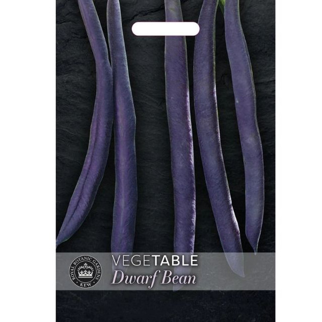 T&M Dwarf Bean Purple Teepee