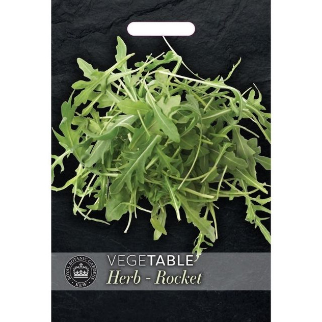 T&M KEW Herb Rocket Eruca Sativa
