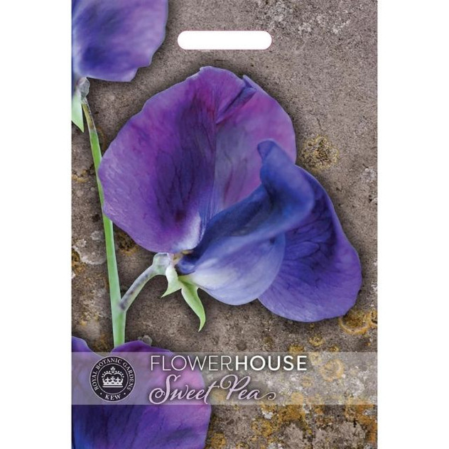 T&M KEW Sweet Pea Lathyrus King Size Royal Navy Dark Blue